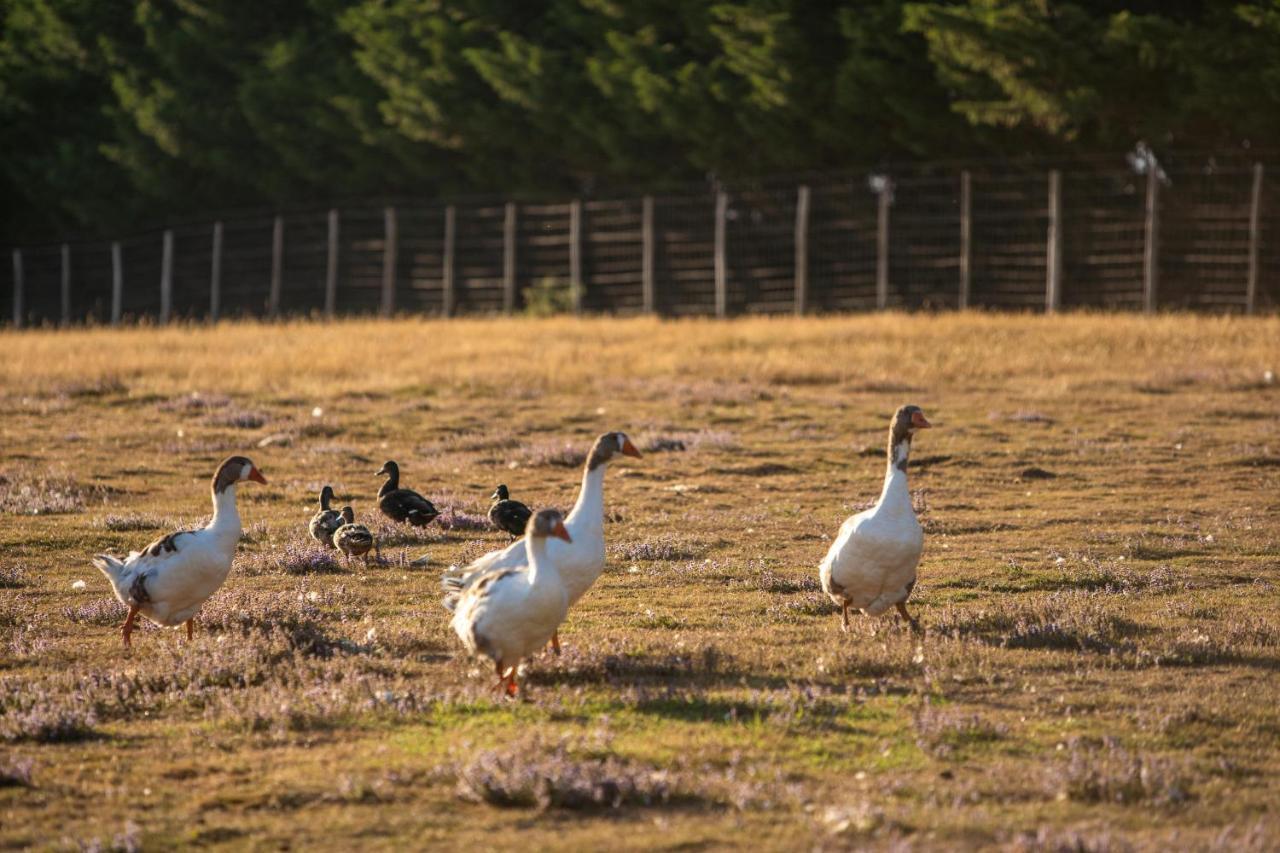 Camping Les Brillas Les Moutiers ภายนอก รูปภาพ
